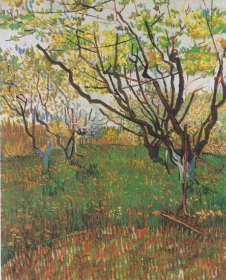 Vincent Van Gogh Flowering Orchard oil painting picture